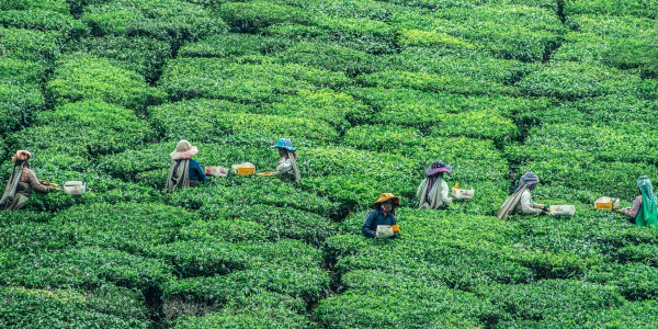 5 Personalities You Should Consider Gifting Honey To 1 single blog 4